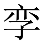 Иероглиф 孪
