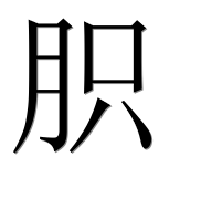 Иероглиф 胑