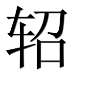 Иероглиф 轺