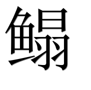 Иероглиф 鳎