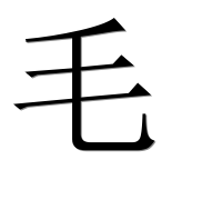 Иероглиф 毛
