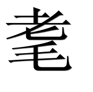 Иероглиф 耄