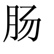 Иероглиф 肠