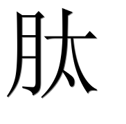 Иероглиф 肽