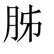 Иероглиф 胏