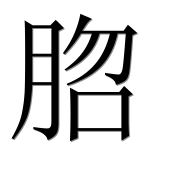 Иероглиф 脗