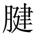 Иероглиф 腱
