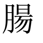 Иероглиф 腸