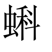 Иероглиф 蝌