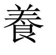 Иероглиф 養